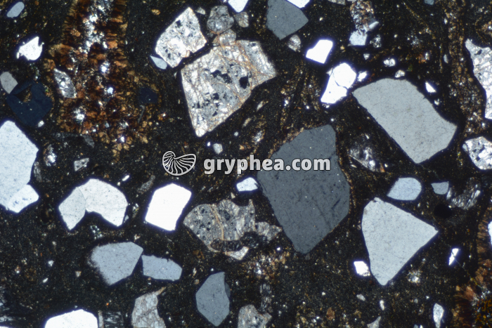 Rhyolite LPA x6,3 - gryphea.com